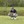Harry W