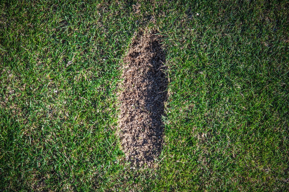 Digger divot